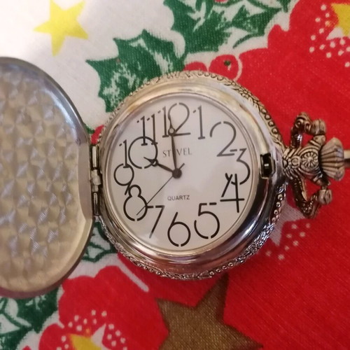 Collection of 50 pocket watches new