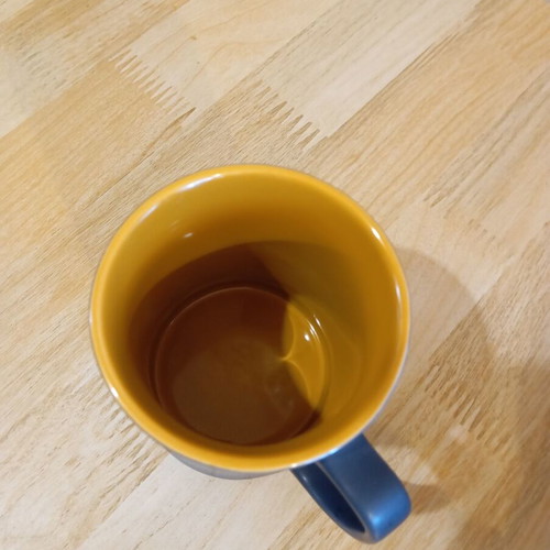 Starbucks Sumatra Tiger mug like new