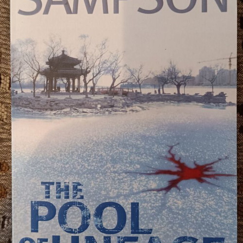 The Pool of Unease by Catherine Sampson like new foreign language book