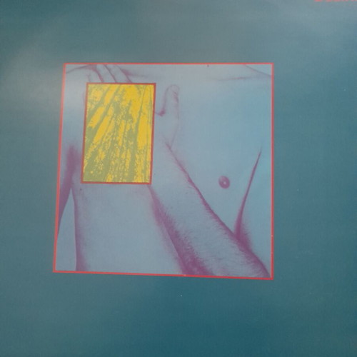 Tuxedomoon Desire vinyl record used, rock