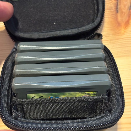 Gamester Case for Nintendo Gameboy Advance cartridges used