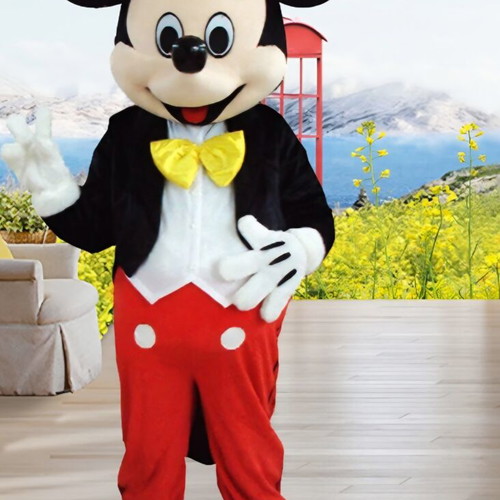 Mickey Mouse costume new for adults