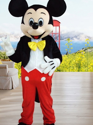 Mickey Mouse costume new for adults