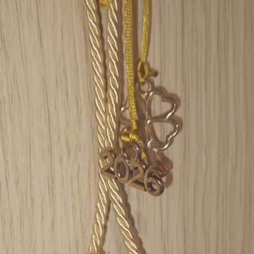 Handmade 2026 lucky charm with dove new