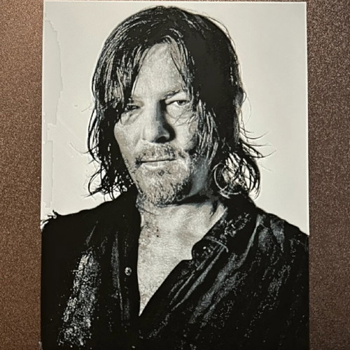 The Walking Dead Daryl Dixon Plastic Canvas High Quality
