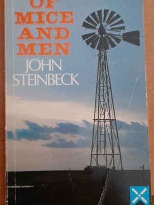 English novels used Rebecca and Of mice and men