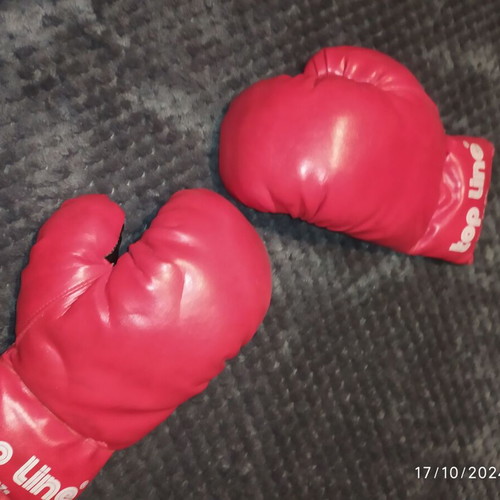 Boxing punching bag new with gloves