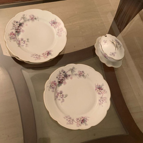 MZ Altrohlaou CM-R porcelain antique dinnerware set used, 55 pieces