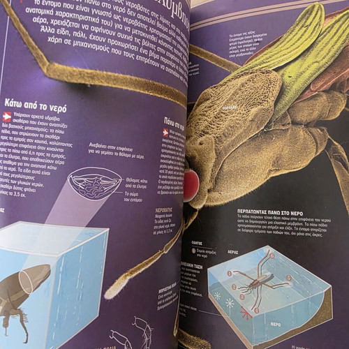 Atlas of Sciences: Invertebrates book like new