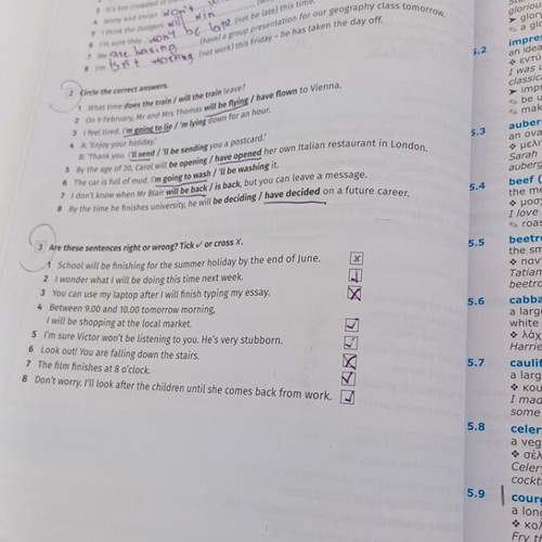 Ultimate B1 English Learning Book Hamilton House used
