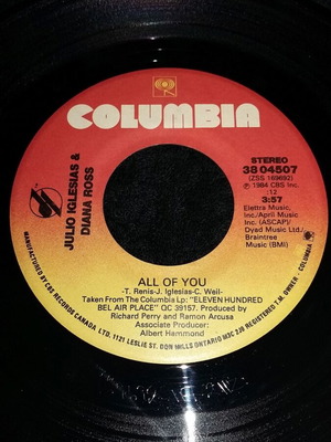 Julio Iglesias Diana Ross 7'' Vinyl The Last Time All For You like new