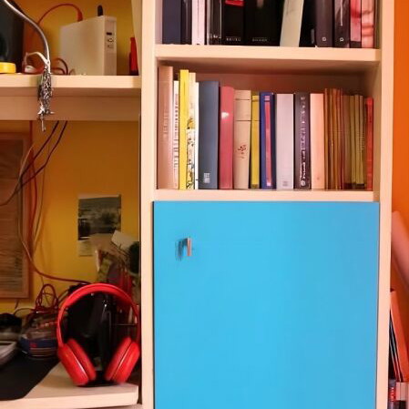 Neoset bookshelf and desk like new