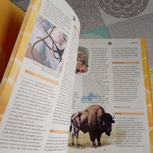 Great Children's Encyclopedia Animal Kingdom 1 used