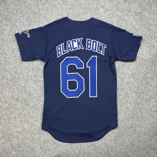Majestic CoolBase McMaster Lambdas Custom Baseball Jersey Navy Size S used