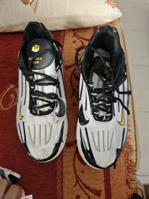 Ανδρικά παπούτσια Nike TN νούμερο 43, πολύχρωμα