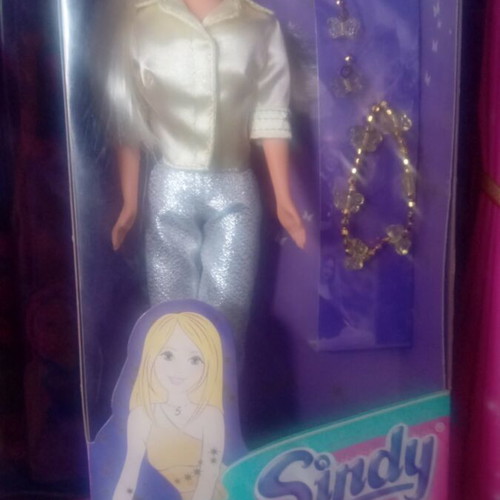 Sindy doll set