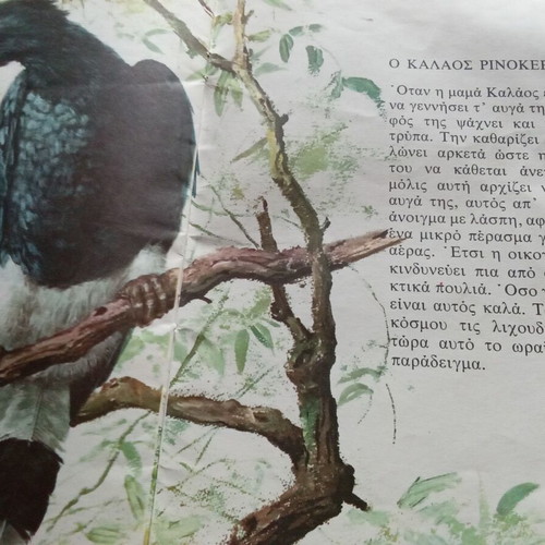 The World of Animals for Children used book