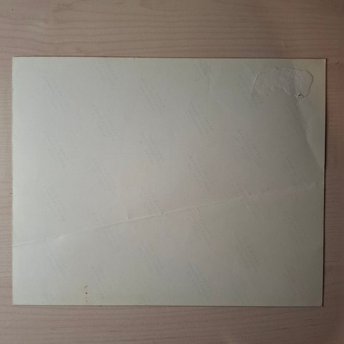 Συλλεκτική φωτογραφία πρακτορείου Ολυμπιακός Νταμπλ 1981 σαν καινούργιο