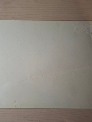 Συλλεκτική φωτογραφία πρακτορείου Ολυμπιακός Νταμπλ 1981 σαν καινούργιο