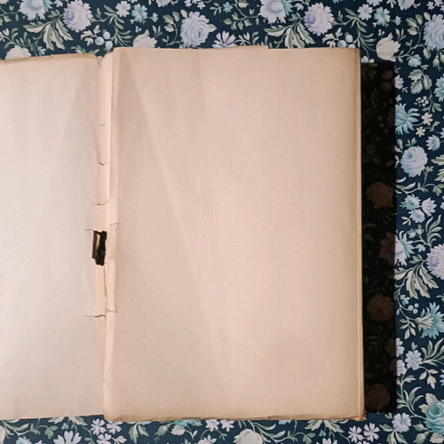 The Panagia Gorgona novel used