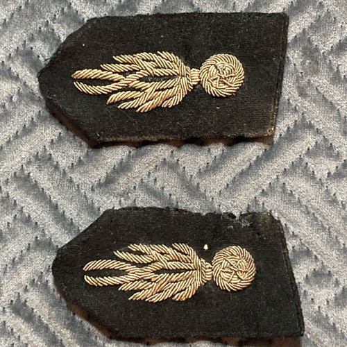 Interwar Military Insignia used
