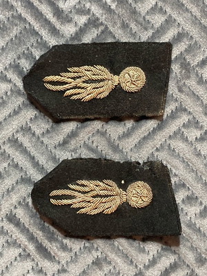 Interwar Military Insignia used