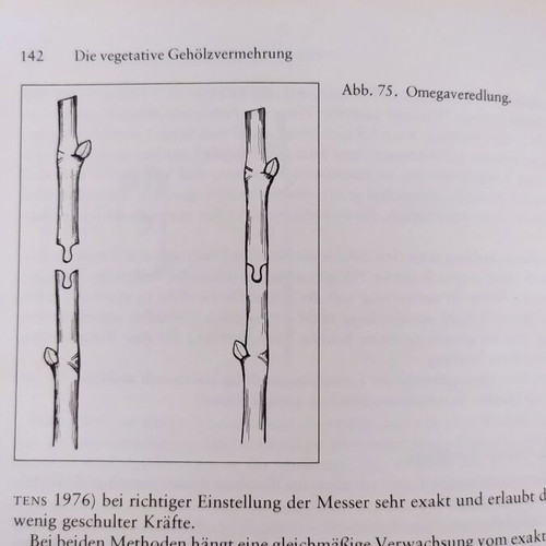 Book on plant propagation like new, in German