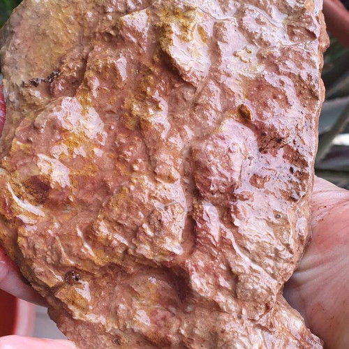 Limestone new with iron and manganese oxides, colorful