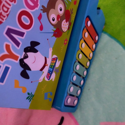 Children's book with xylophone like new