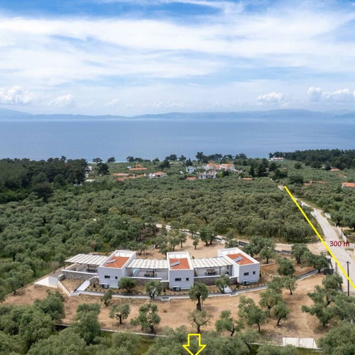 Olive Grove 17.1 stremmas with 360 trees, sea view, buildable land