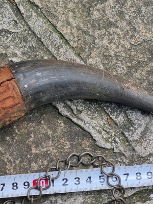 Powder horn used