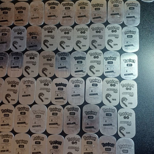 101 Metal Pokemon Tags