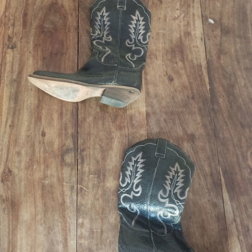 Vintage cowboy boots