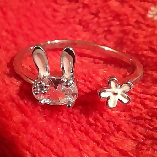 Fos ring used, adjustable