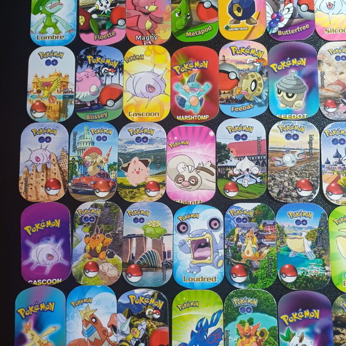 101 Metal Pokemon Tags