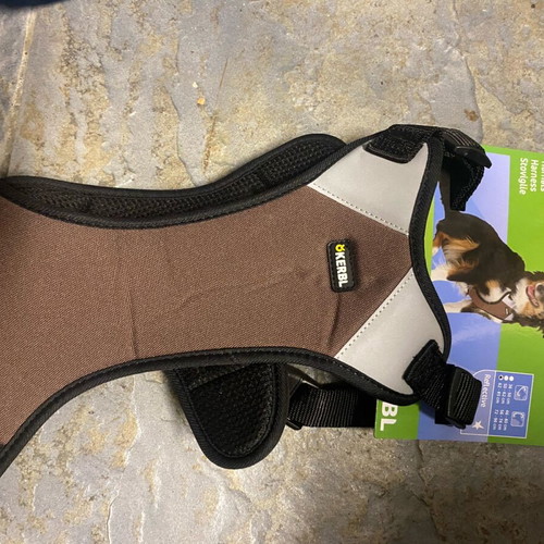 Dog chest collar with reflection, harness new