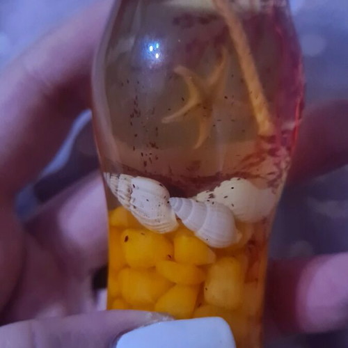 Candle new