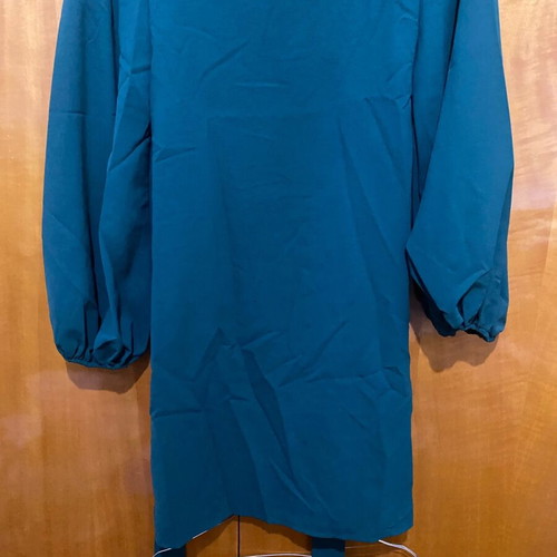 Green Emery Rose dress new