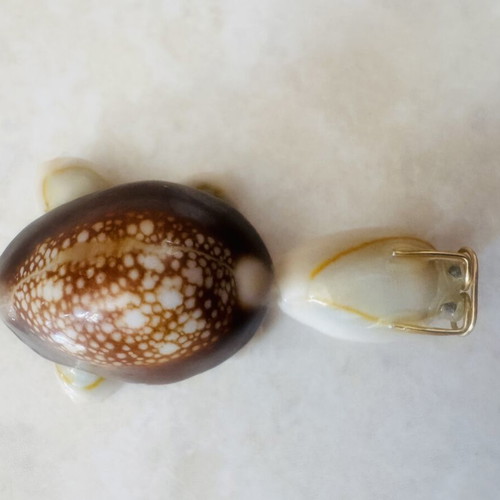 Vintage Handmade Turtle Decor Made of Natural Cowrie Shells Like New