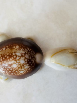 Vintage Handmade Turtle Decor Made of Natural Cowrie Shells Like New