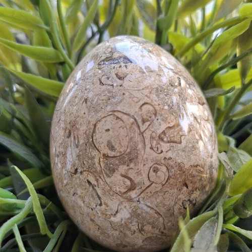 Decorative dinosaur egg from fossil limestone, new