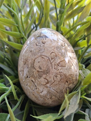 Decorative dinosaur egg from fossil limestone, new