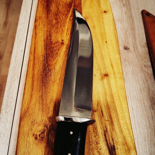 Collector's massive hunting knife new with buffalo horn handle