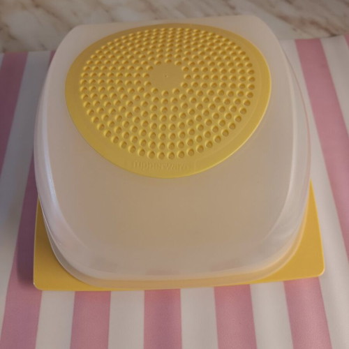 Medium-Sized Cheese Container new for cheese and cold cuts