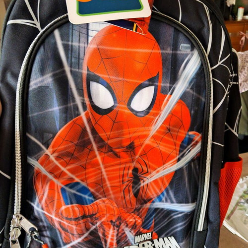 Spiderman School Backpack new