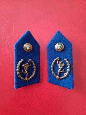 Pair of military communication insignia new