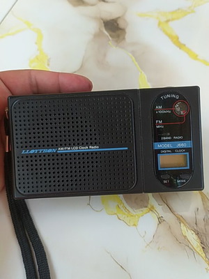 Lloytron J660 AM/FM LCD Clock Radio like new vintage