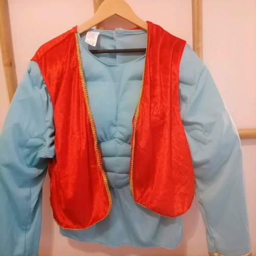 Adult genie costume like new, size large, carnival outfit