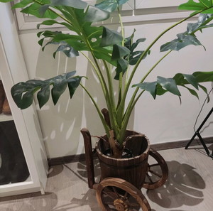 Τεχνητό φυτό monstera