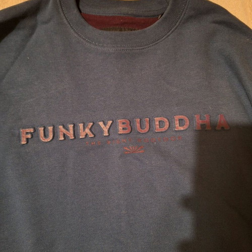 Funky Buddha men's sweatshirt blue like new size L